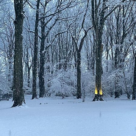 Vakantiewoningeikenhof Londerzeel Exteriér fotografie