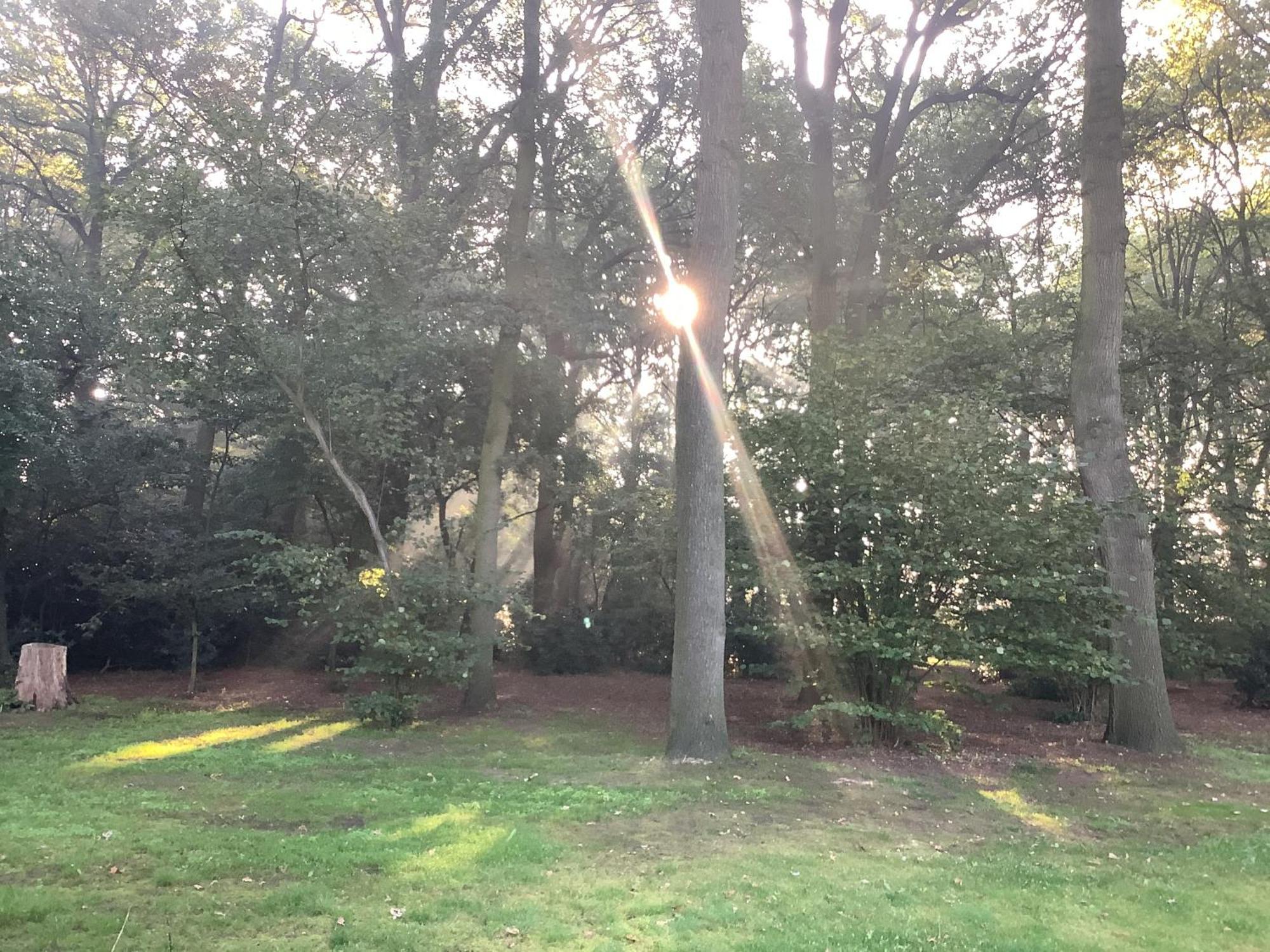 Vakantiewoningeikenhof Londerzeel Exteriér fotografie