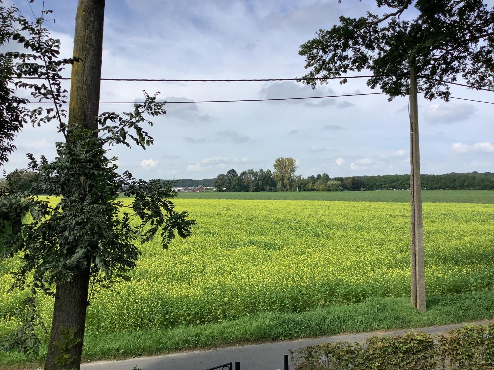 Vakantiewoningeikenhof Londerzeel Exteriér fotografie